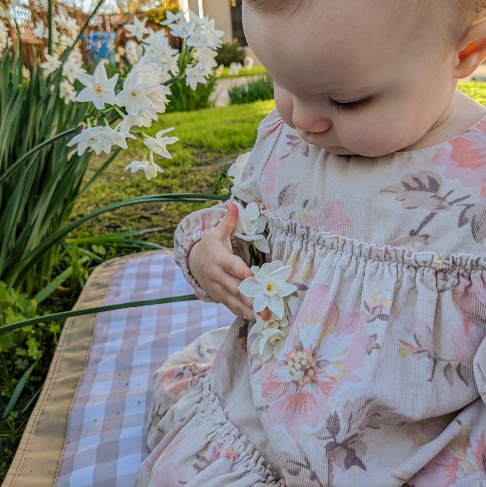 Adorable Baby Gap Dress